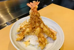 Tempura- Delicious Japanese Food Tempura- Delicious Japanese Food